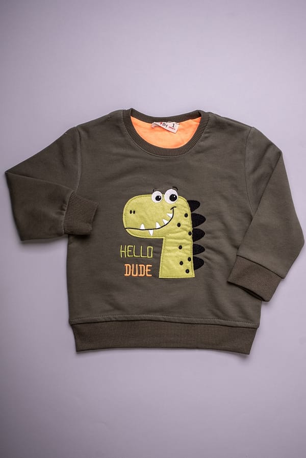 Dino jongens blouse